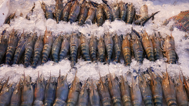 Cam Seafood Worldwide from Kepulauan Virgin Amerika Serikat
